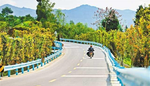 重庆5年将新改建农村公路1万公里