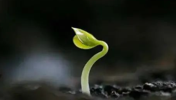 自我心理疏导小技巧，你get了吗？