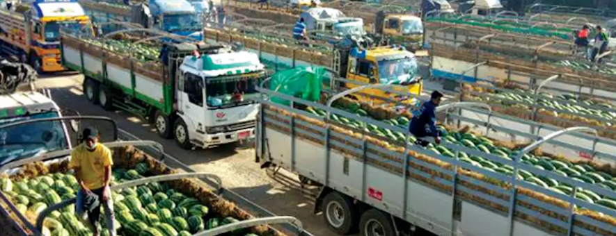 什么样的车辆可享受“绿通”政策？