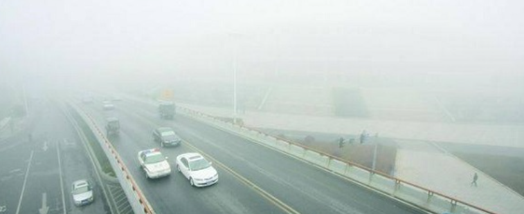 初冬雾天多，安全驾驶有讲究！