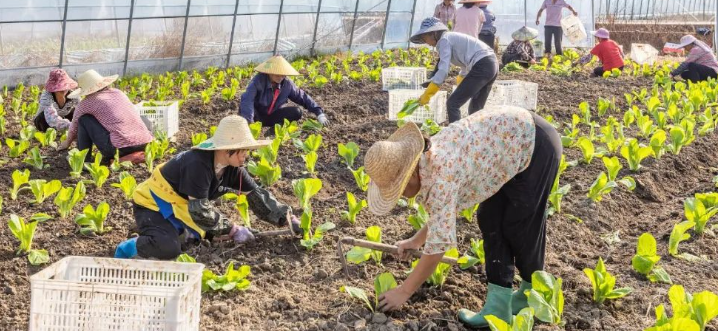 事关农民工城镇落户、社保、随迁子女入学！10部门联合发布