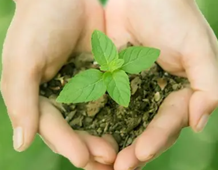 心理科普 || 心理健康小知识分享