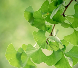 心理咨询到底有什么用？