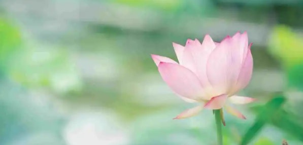 当心养生变伤身！三伏天，做好这6件事很重要！