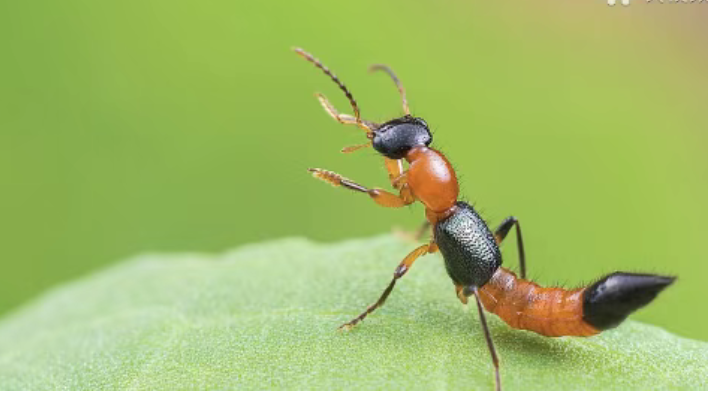 重要提醒：千万别拍！千万别拍！