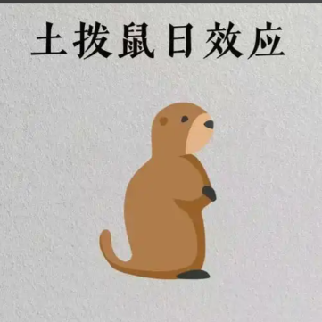 当生活陷入循环重播：心理学解析"土拨鼠之日效应"的破局之道